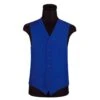 Gilet Blauw