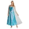 Elsa Adult -Vakantie Feest Winkel 3810243 2