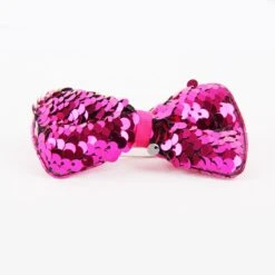 Reversible Paillettenstrikje Roze-zilver -Vakantie Feest Winkel pailletten strik pink zilver02