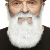 Volle Grijze Baard -Vakantie Feest Winkel pch 27 147 mb 1
