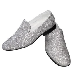 Disco Glitterschoenen Heren Zilver