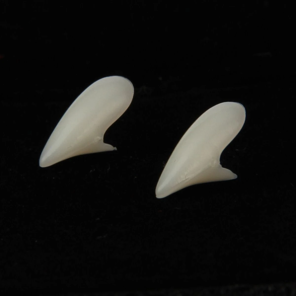 Luxe Vampier Hoektanden 17 Mm 4 Luxe Vampier Hoektanden 17 Mm - Afbeelding 2