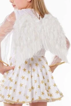 Vleugels Div. -Vakantie Feest Winkel vleugels engels wil21205 02.jpg 1